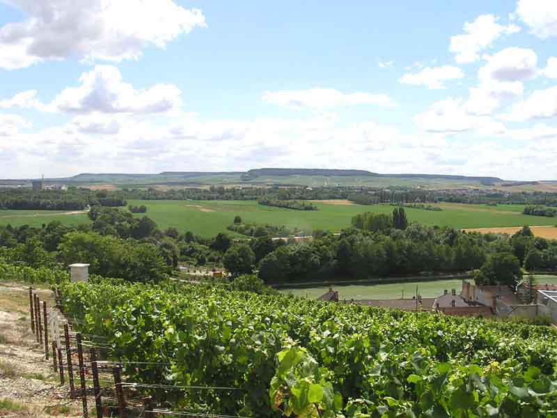 Blick Richtung Epernay