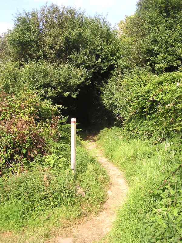 Küstenwanderweg bei Loguivy-de-la-Mer