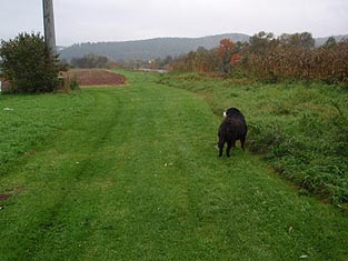 Beim Spaziergang