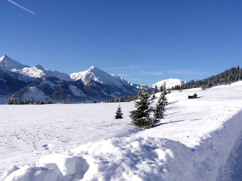 Tief verschneite Landschaft