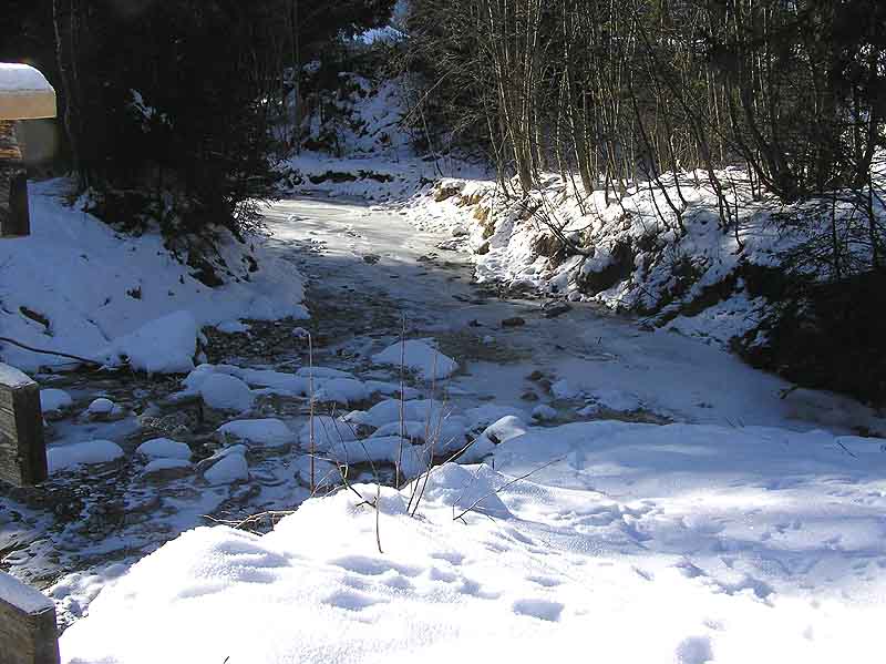 Zugefrorener Bachlauf
