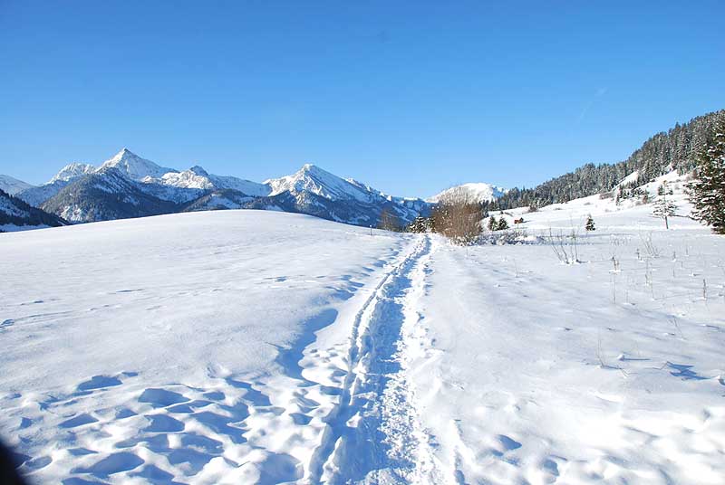 eingeschneite Landschaft um Grän