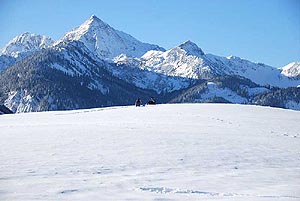 eingeschneite Landschaft um Grän