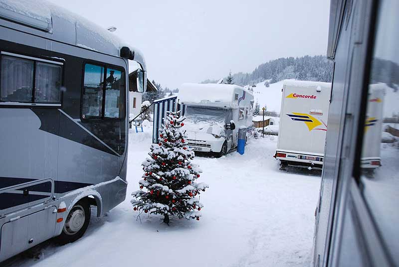 Weihnachtsbaum von Karel