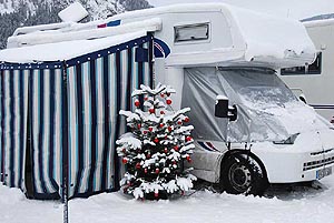 Weihnachtsbaum aus dem Westerwald