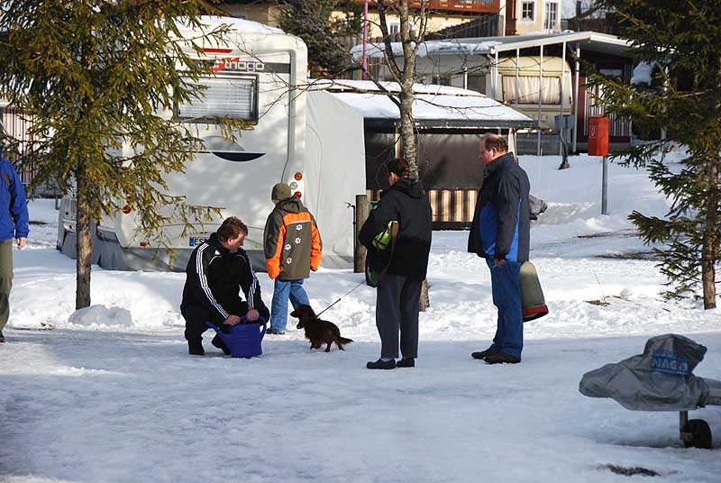 Jörn und der Nachbarsdackel