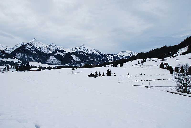 verschneite Winterlandschaft