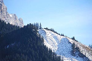 verschneite Winterlandschaft