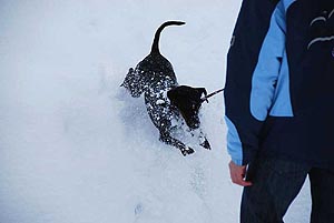 Indiana Jones im Schnee