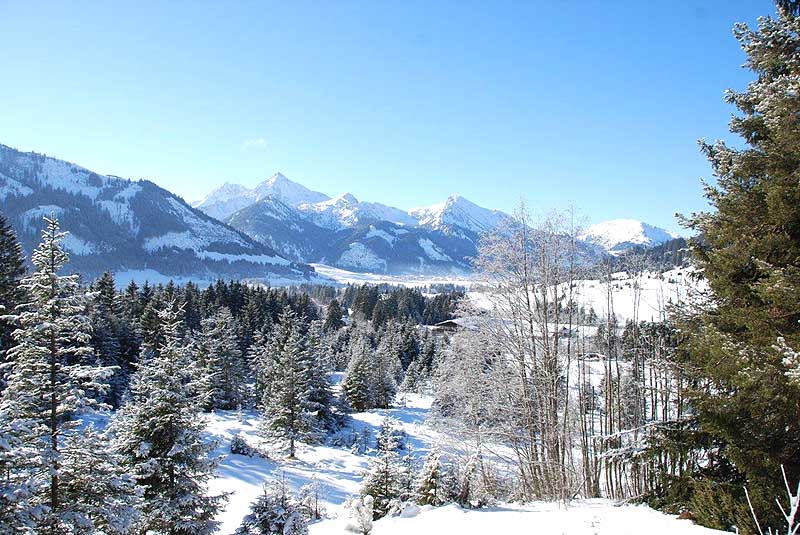 Blcik ins Tannheimer Tal