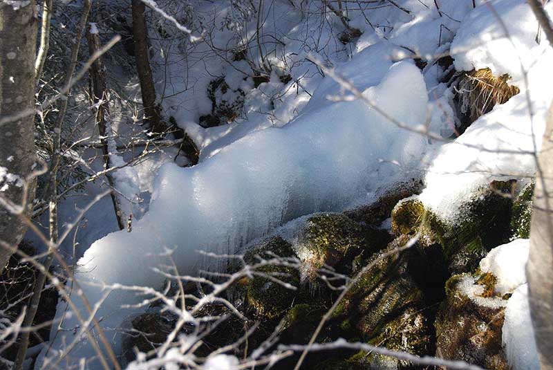 Zu Eis gewordener Bachlauf