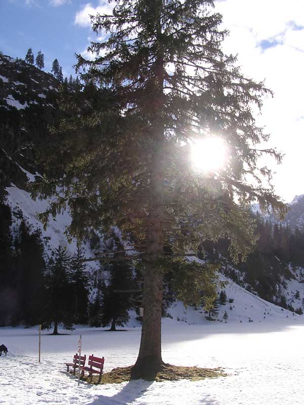 Am Ende des Vilsalpsees