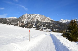 Mittlerer Höhenweg nach Tannheim