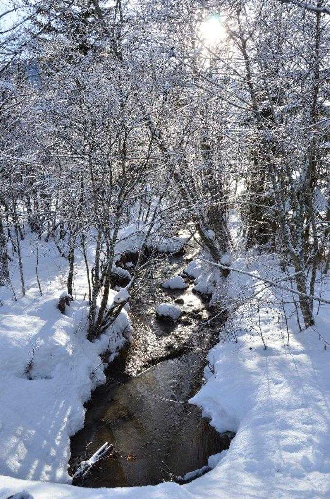 Mittlerer Höhenweg nach Tannheim