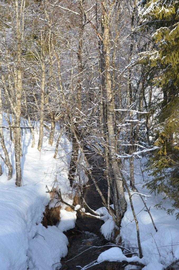 Mittlerer Höhenweg nach Tannheim