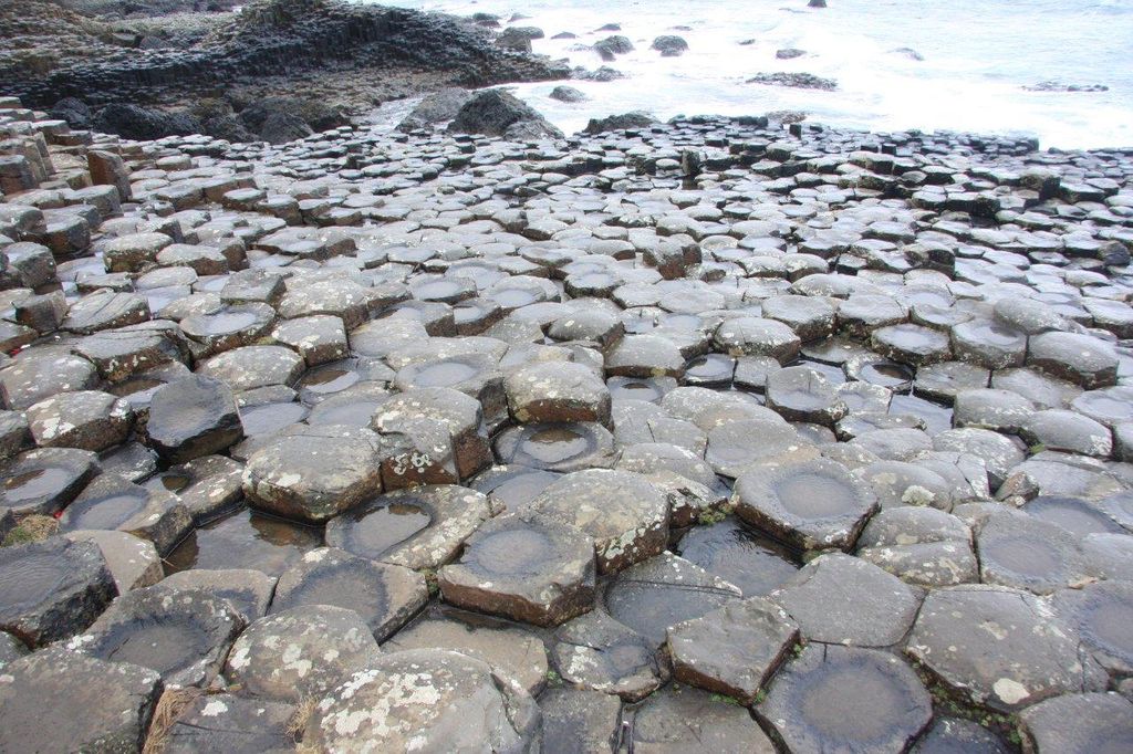 Ein Wunder der Natur