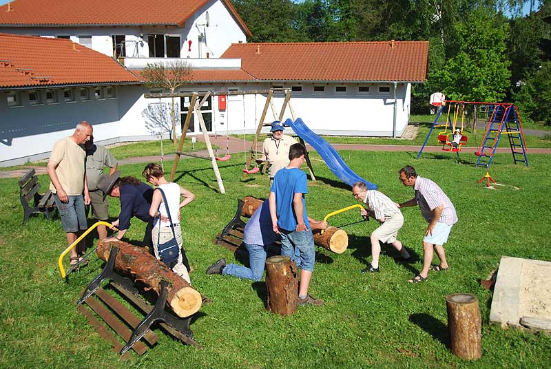 Beim Baumstammsägen