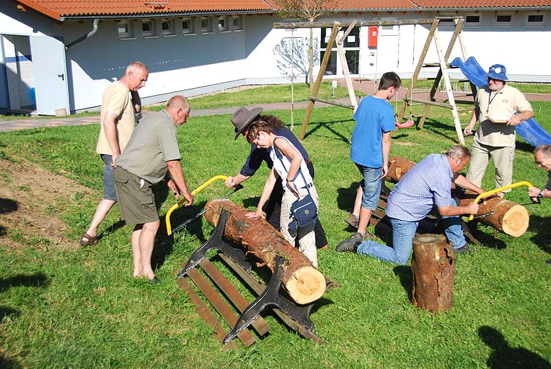Beim Baumstammsägen