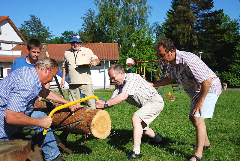 Beim Baumstammsägen