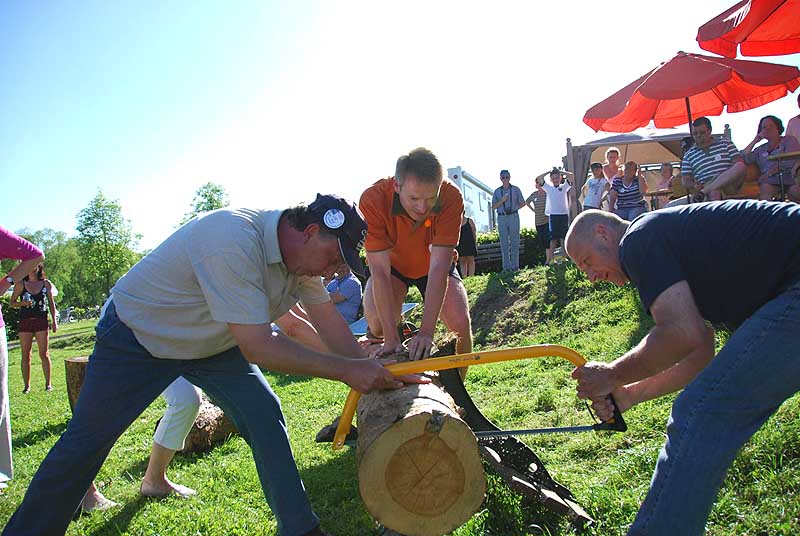 Beim Baumstammsägen