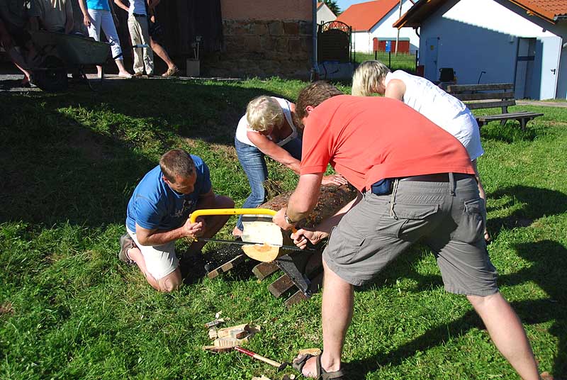 Beim Baumstammsägen