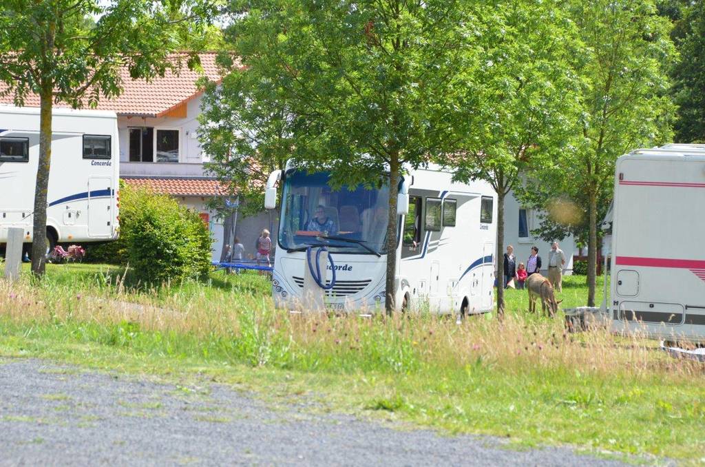 Ein Concorde kommt an