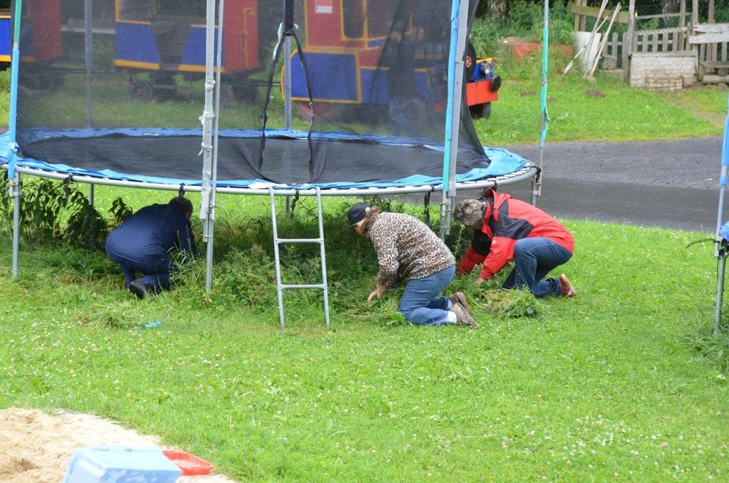 Beim Gras scheren