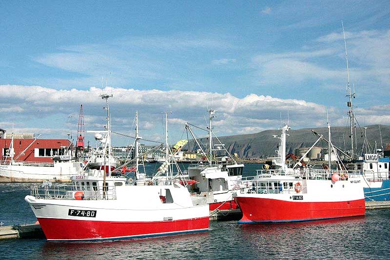 Fischerboote in Batsfjord