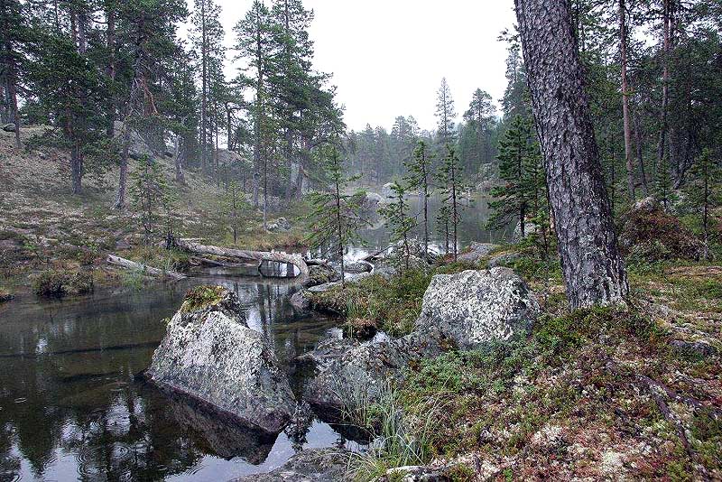 Nähe Irnarisee