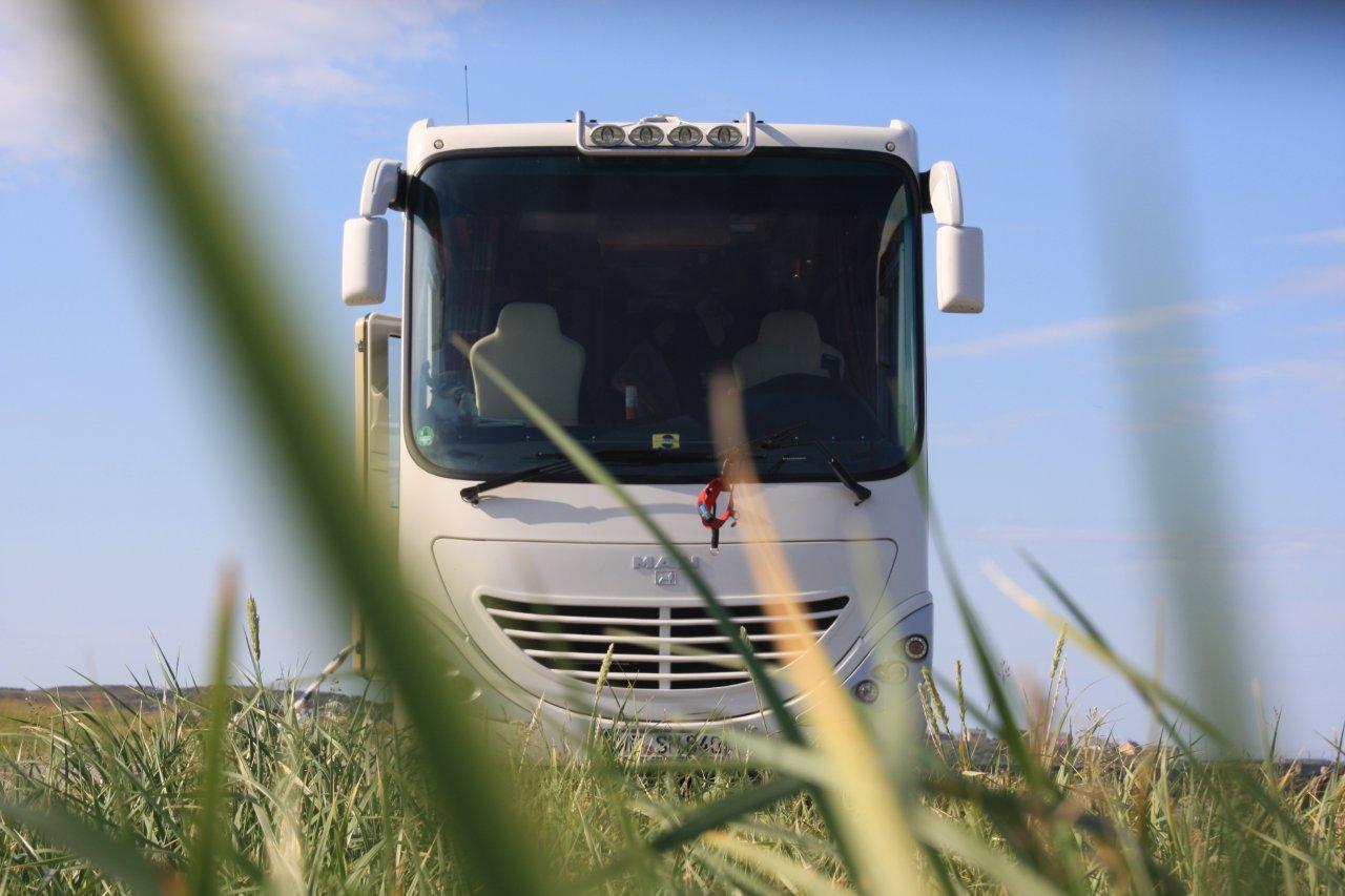 Der Charisma tarnt sich