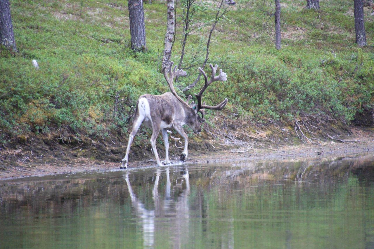 Der hier hat die Nase voll vom Fotografieren