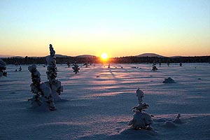 Winterlandschaft bei eisigen Temperaturen