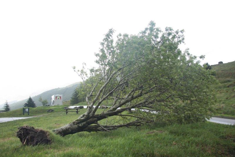 Nach einer sehr stürmischen Nacht