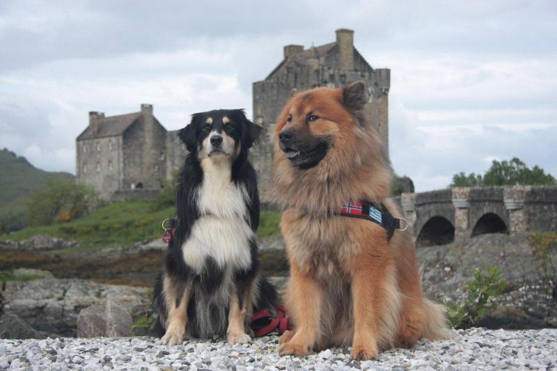 Wie neidisch die gucken