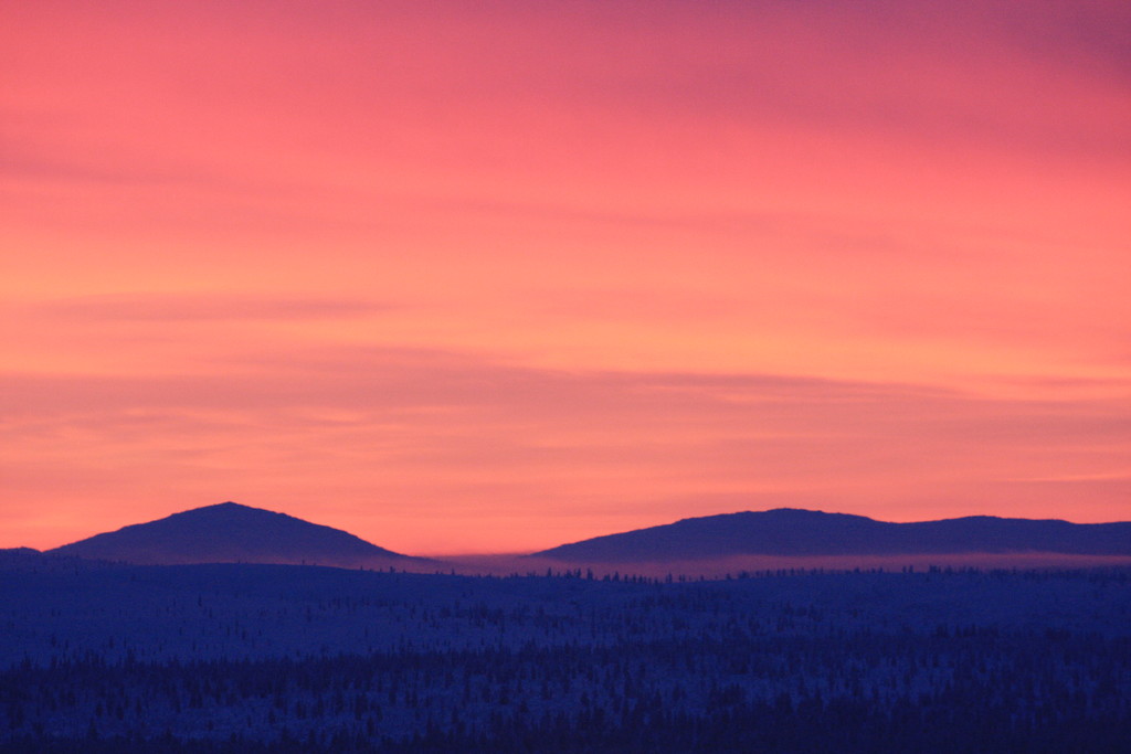 Skandinavien 2014 / 2015