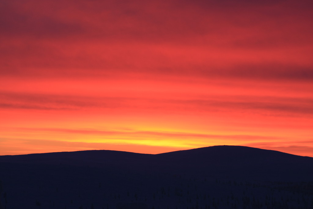 Skandinavien 2014 / 2015