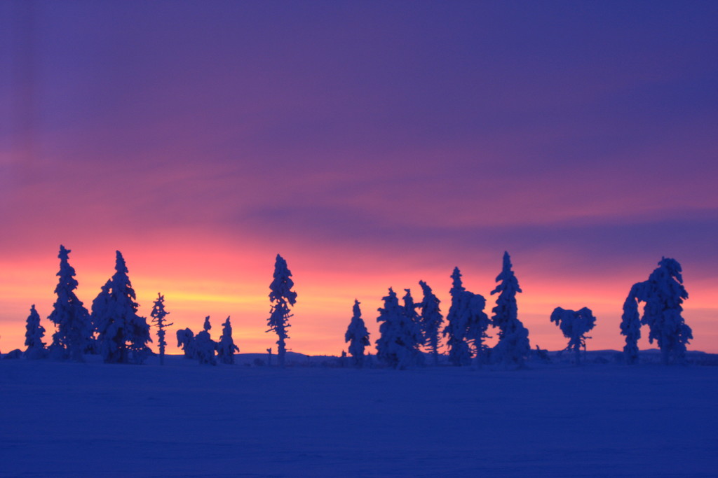 Skandinavien 2014 / 2015