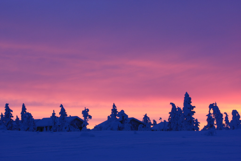 Skandinavien 2014 / 2015