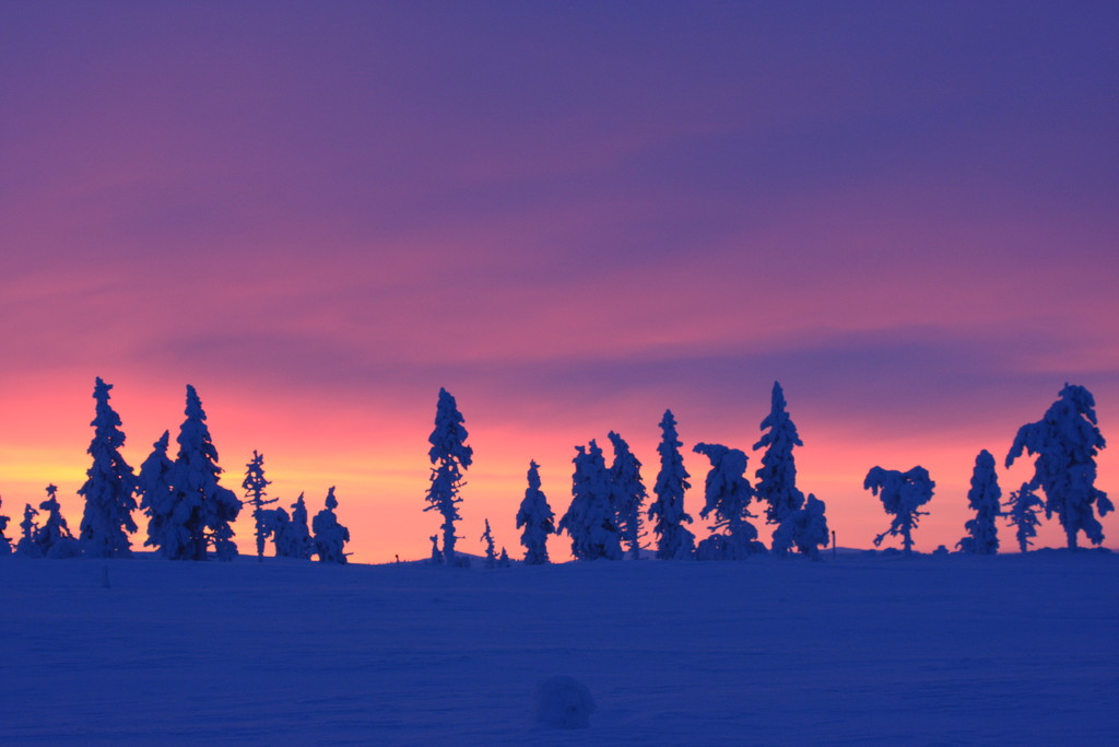 Skandinavien 2014 / 2015