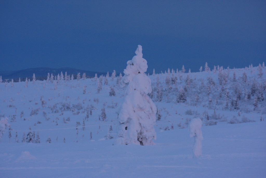 Skandinavien 2014 / 2015