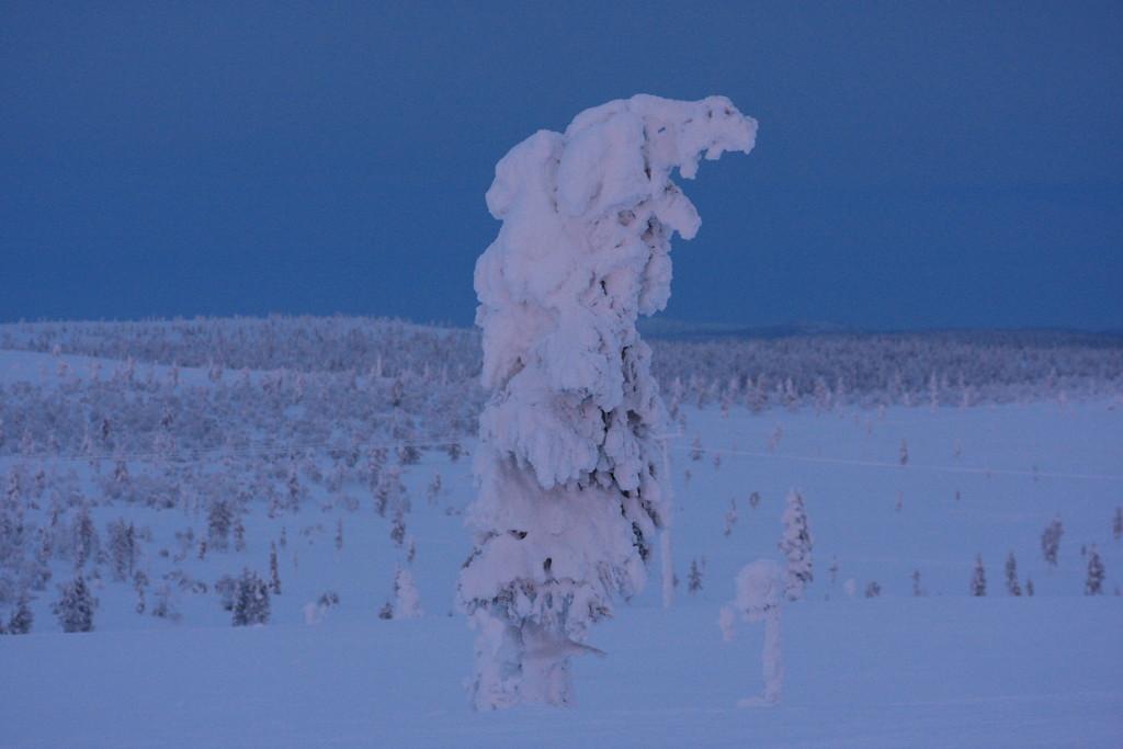Skandinavien 2014 / 2015