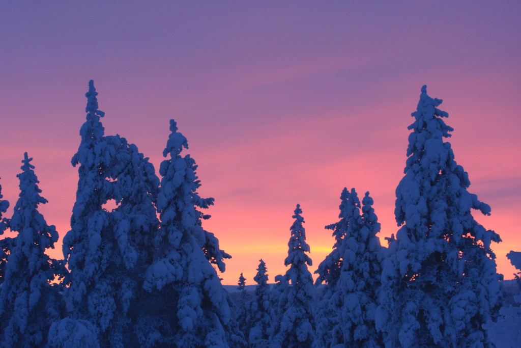 Skandinavien 2014 / 2015