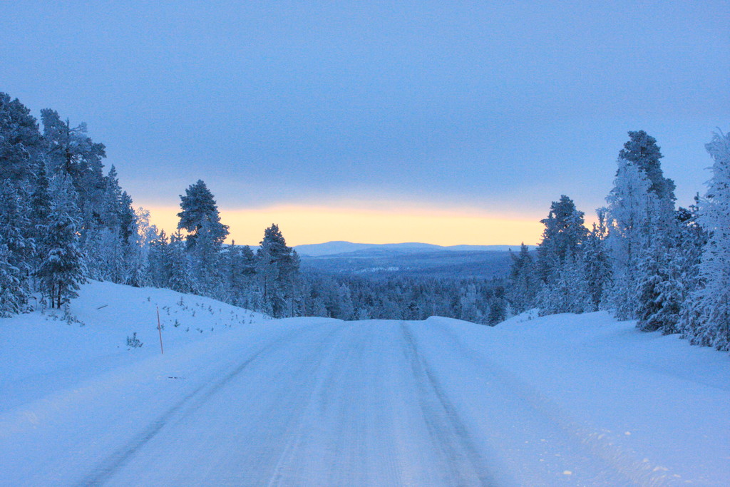 Skandinavien 2014 / 2015