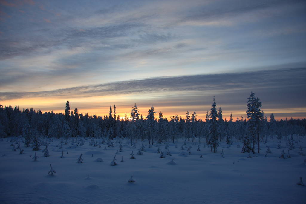 Skandinavien 2014 / 2015