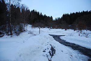 Im Kurpark in Braunlage