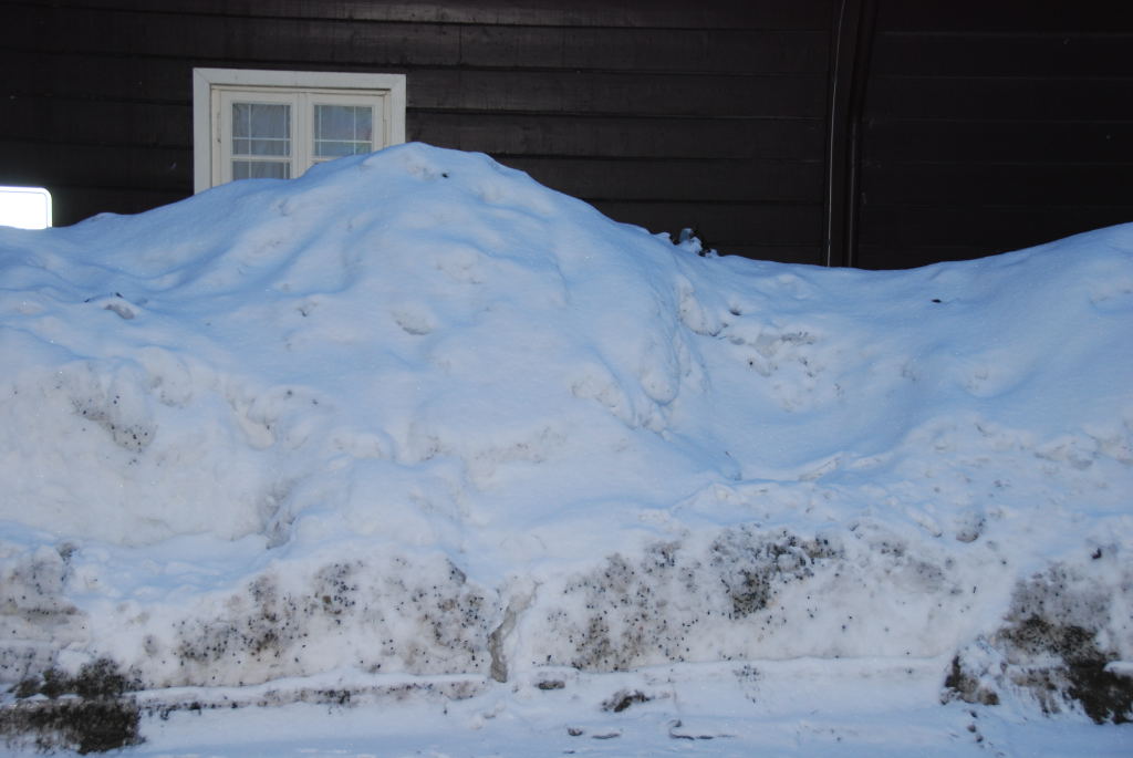 Im Kurpark in Braunlage