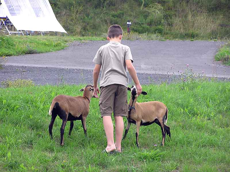Wollt ihr wohl mitkommen?