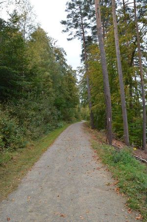 Wanderweg um den See